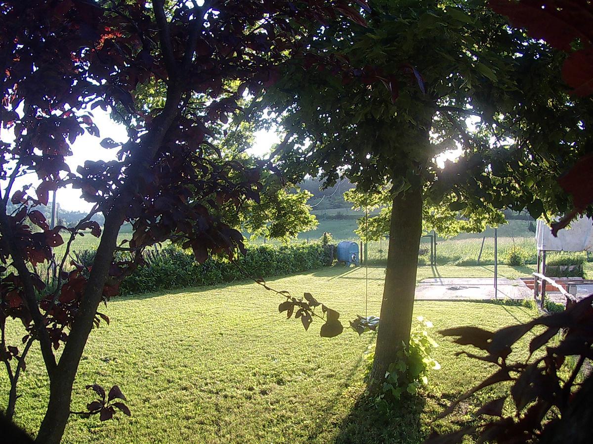 Gavi/Alice Open Space Bed & Breakfast ภายนอก รูปภาพ