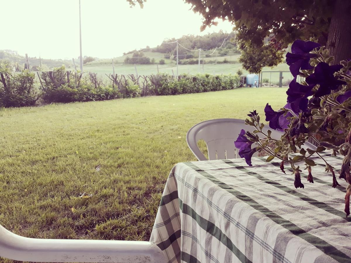 Gavi/Alice Open Space Bed & Breakfast ภายนอก รูปภาพ
