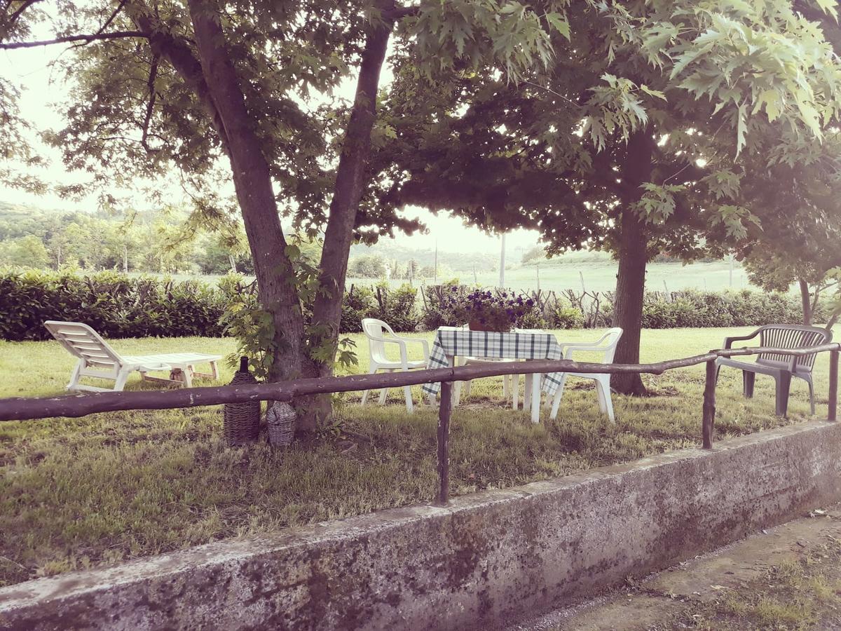 Gavi/Alice Open Space Bed & Breakfast ภายนอก รูปภาพ